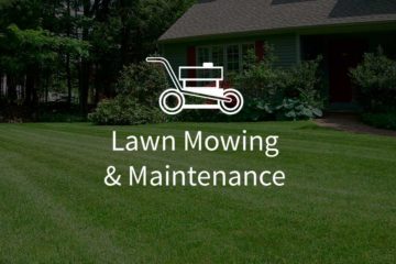 Lawn Mowing & Maintenance